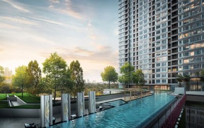 Acacia Phase 3